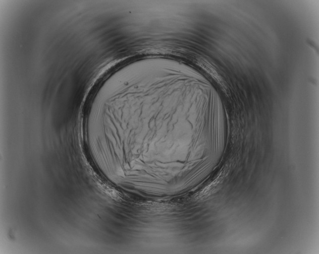 X0000097830984200804041417