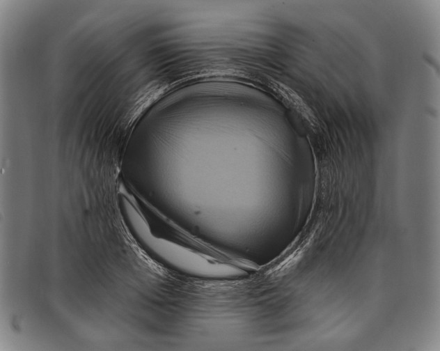 X0000097830985200804041417