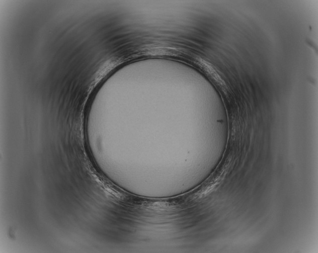 X0000097830986200804041417