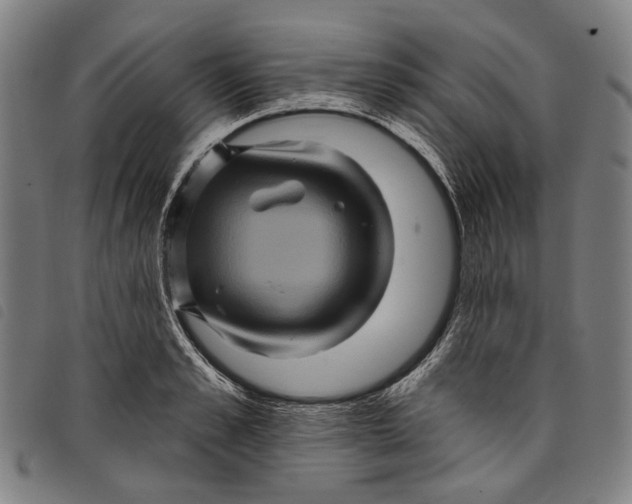 X0000097830989200804041417