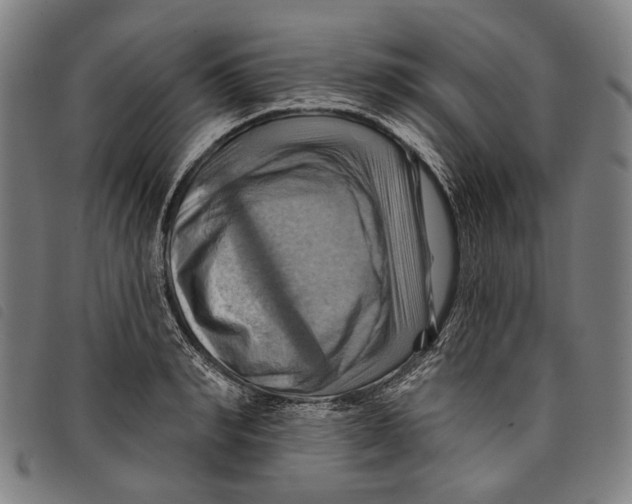 X0000097830990200804041417