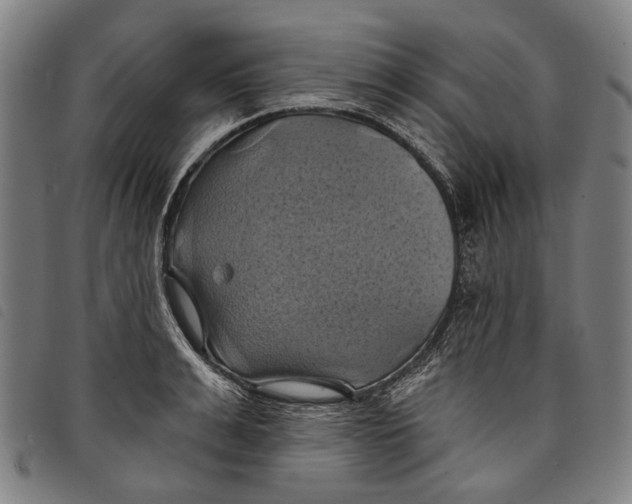 X0000097830991200804041417