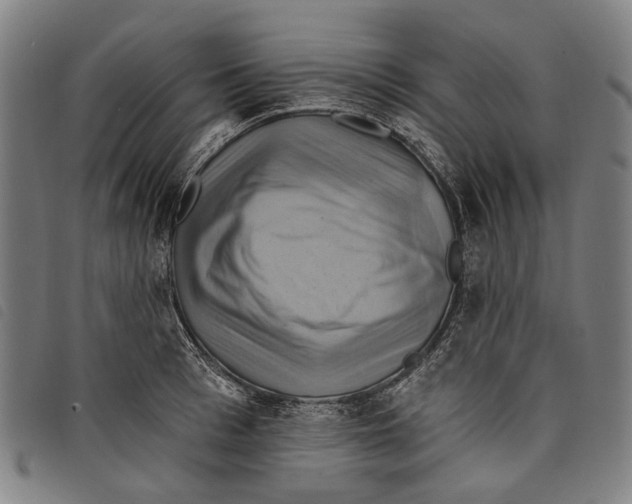 X0000097830993200804041417