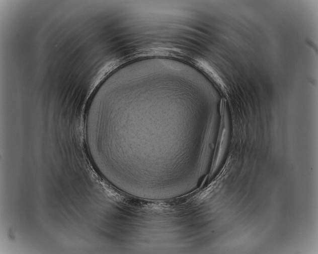 X0000097830994200804041417