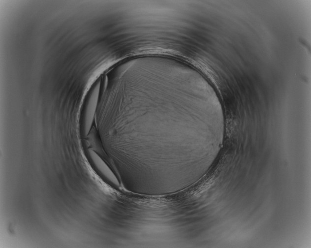 X0000097830995200804041417