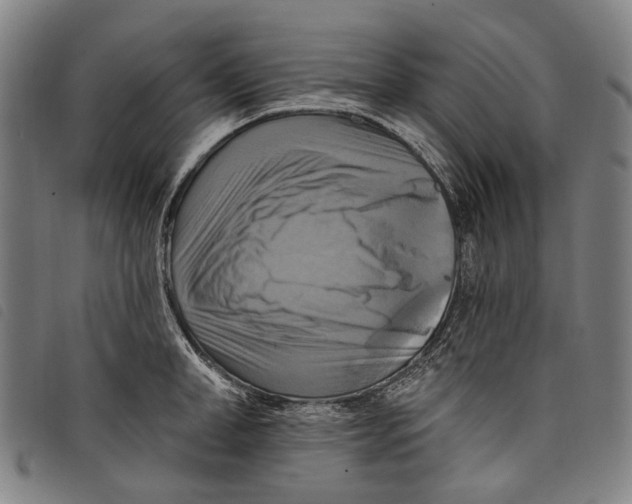 X0000097830998200804041417