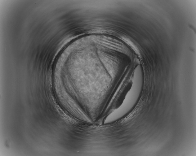 X0000097831000200804041417