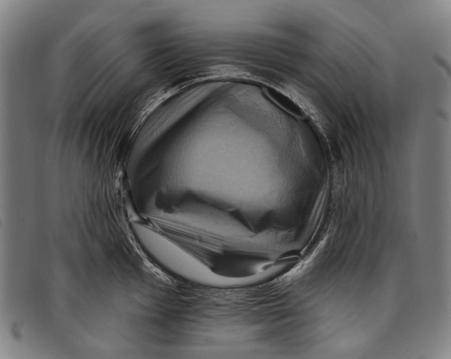 X0000097831001200804041417