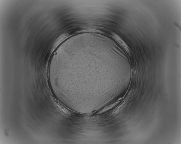 X0000097831002200804041417