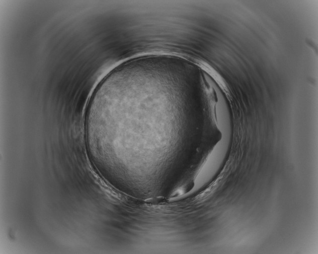 X0000097831004200804041417