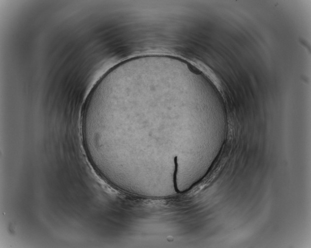 X0000097831006200804041417