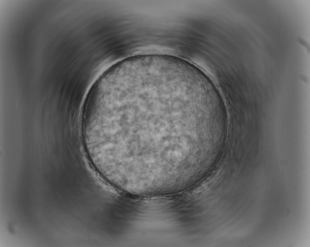 X0000097831008200804041417