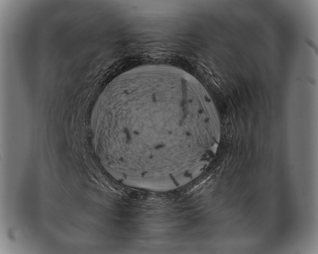 X0000097831009200804041416