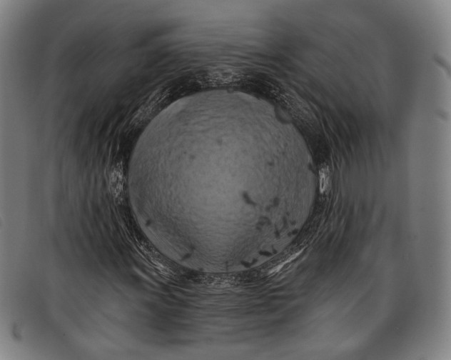 X0000097831011200804041416