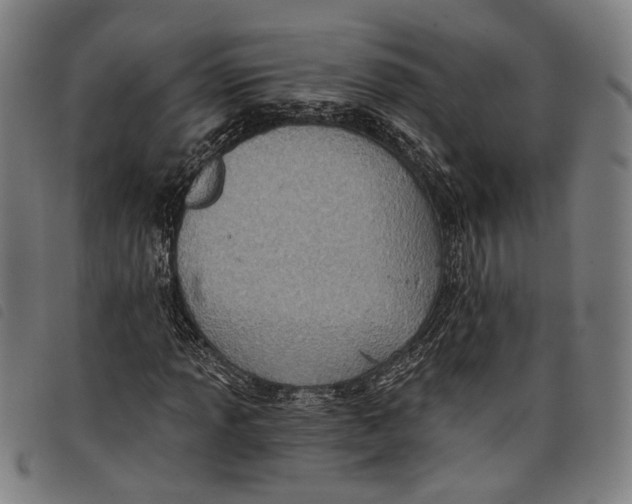 X0000097831013200804041416