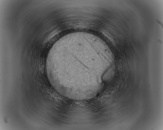 X0000097831015200804041416