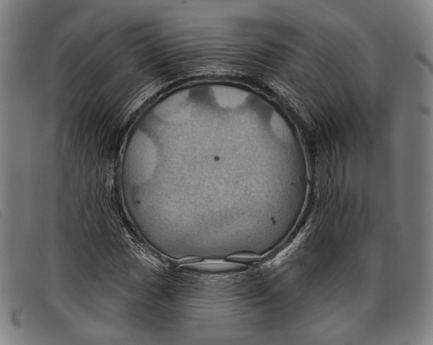 X0000097831017200804041416