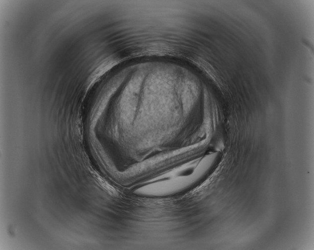 X0000097831018200804041416