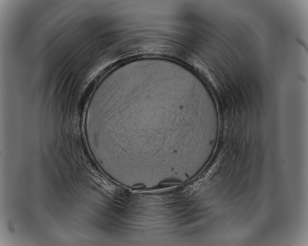 X0000097831019200804041416