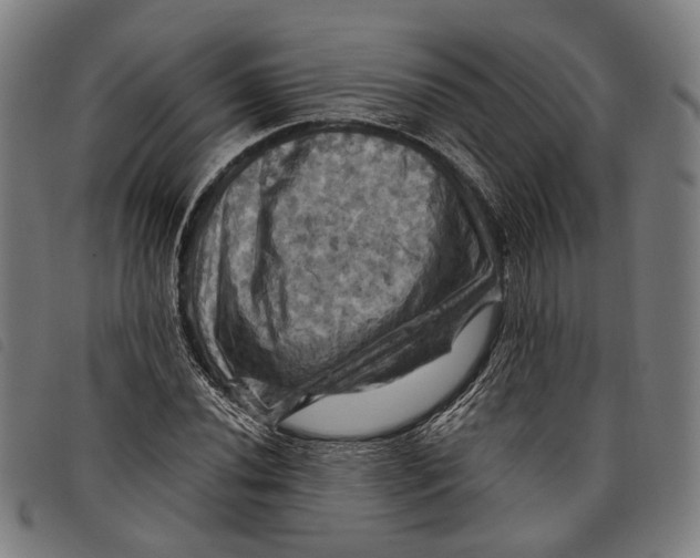 X0000097831020200804041416