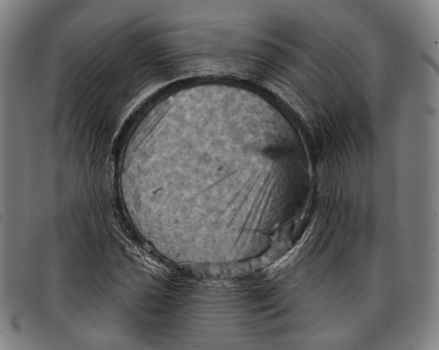 X0000097831021200804041416