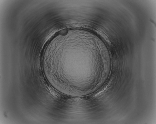 X0000097831023200804041416