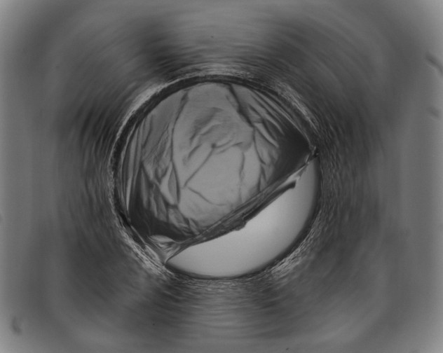 X0000097831024200804041416