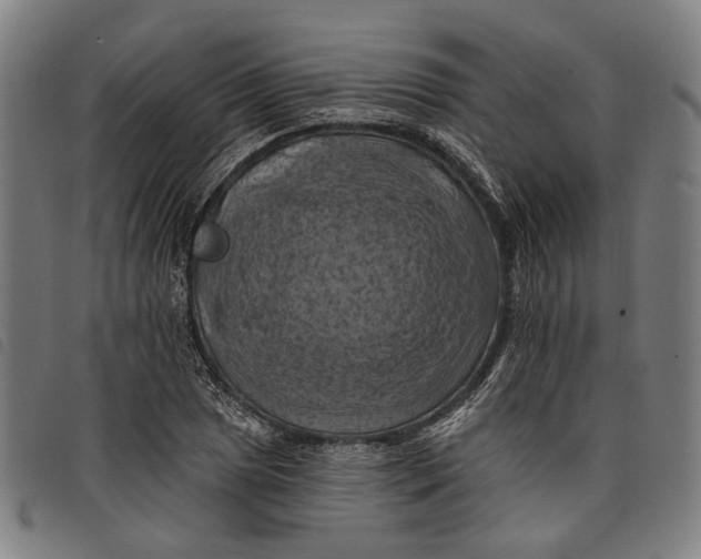 X0000097831025200804041416