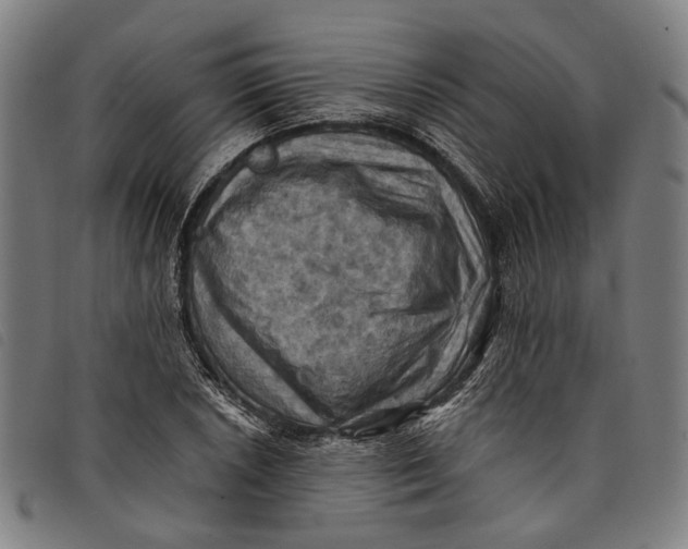 X0000097831026200804041416