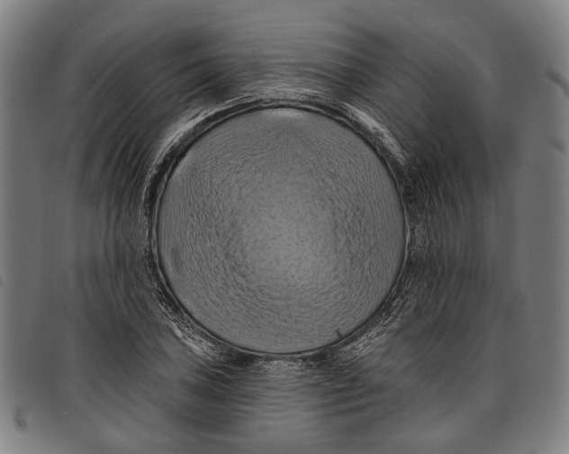 X0000097831027200804041416