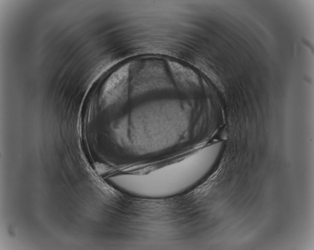 X0000097831028200804041416