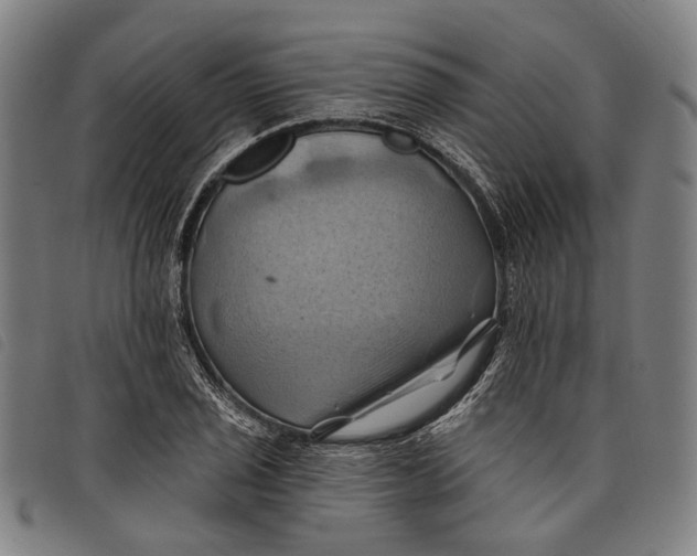 X0000097831029200804041417