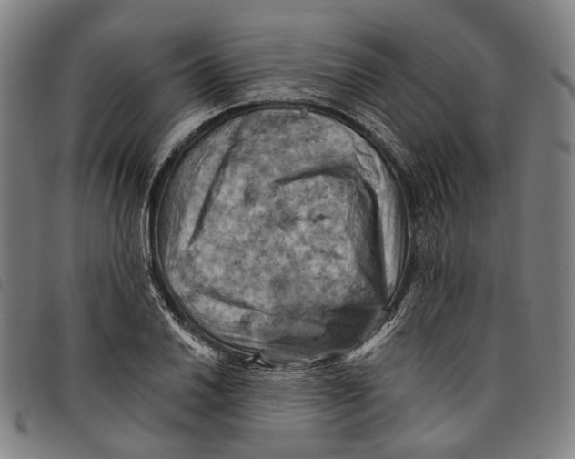 X0000097831030200804041417