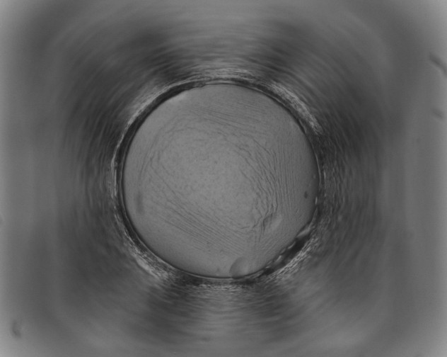 X0000097831031200804041417