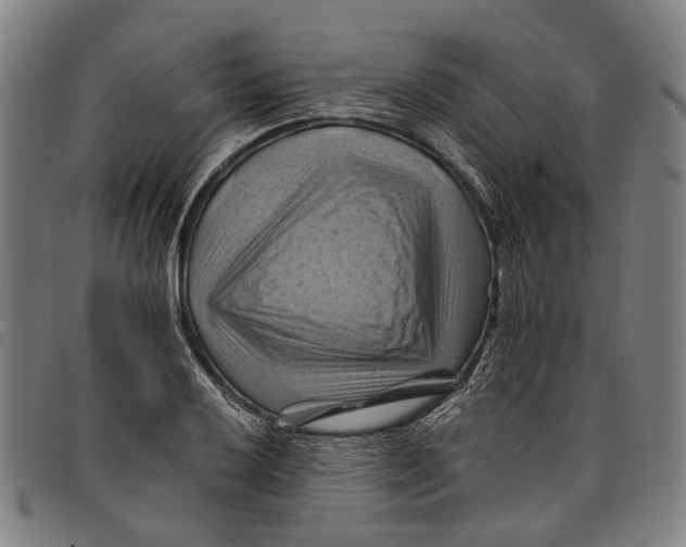 X0000097831032200804041417