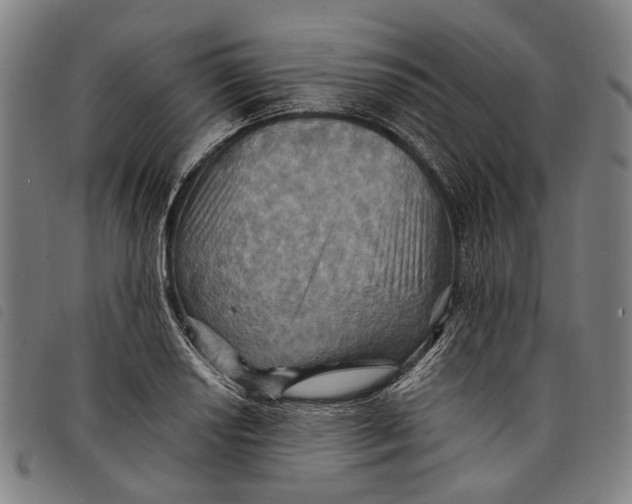 X0000097831034200804041417