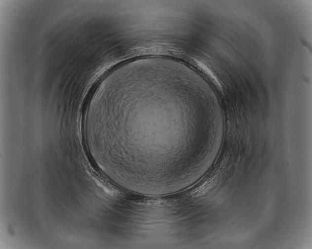 X0000097831035200804041417