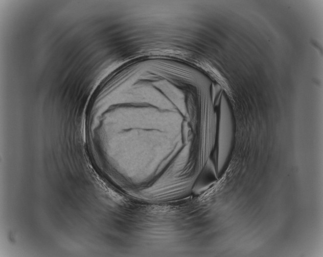 X0000097831036200804041417