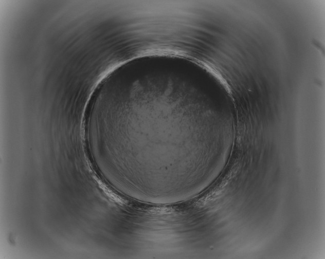 X0000097831037200804041417