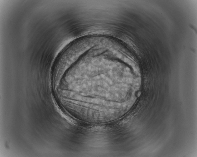 X0000097831038200804041417