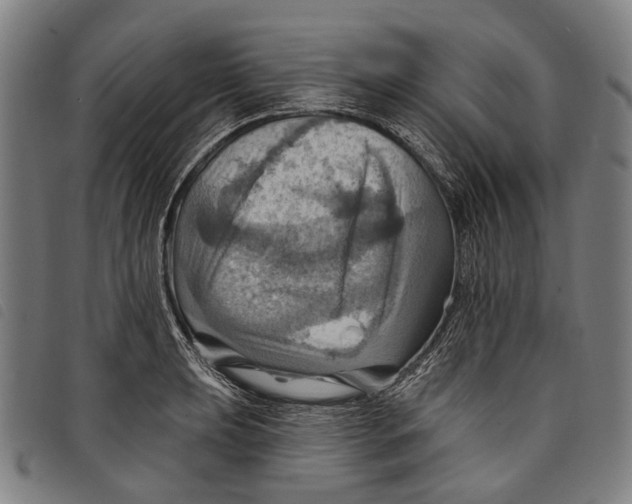 X0000097831039200804041417