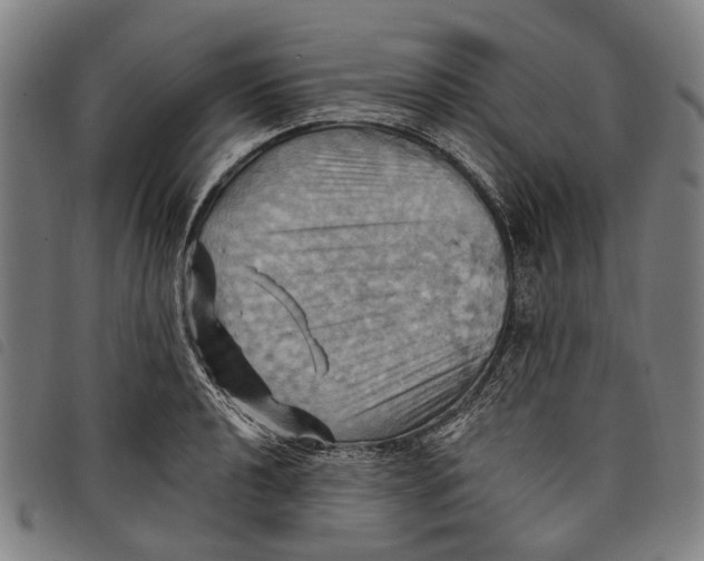 X0000097831040200804041417