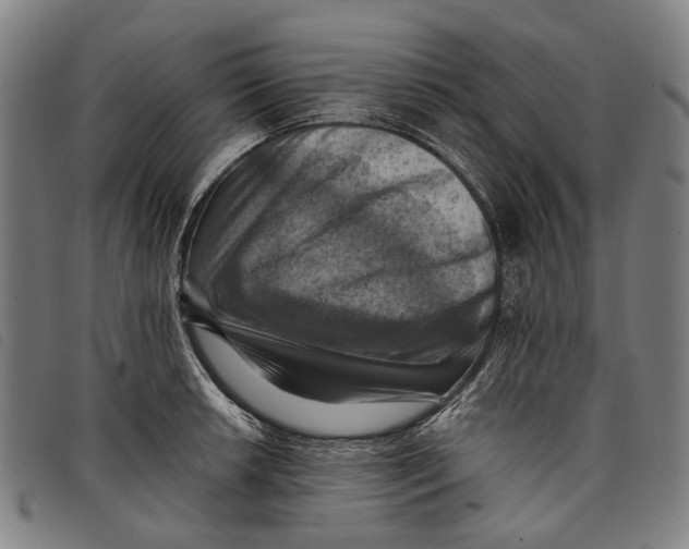 X0000097831042200804041417