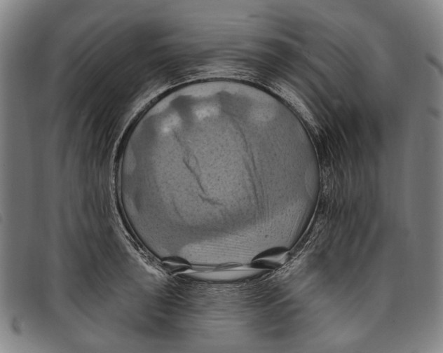 X0000097831043200804041417