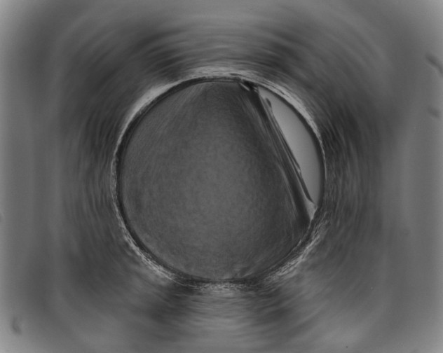 X0000097831045200804041417