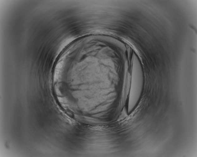 X0000097831048200804041417