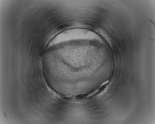 X0000097831049200804041417