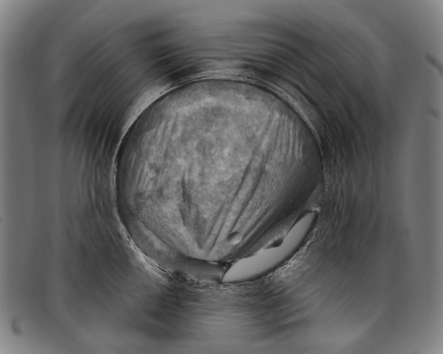 X0000097831050200804041417