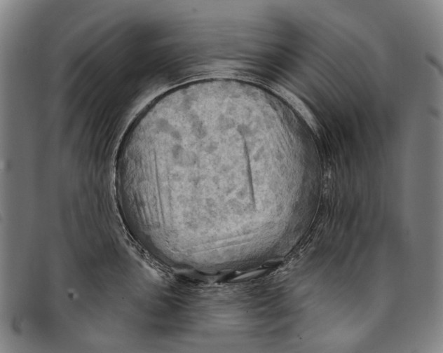 X0000097831051200804041417