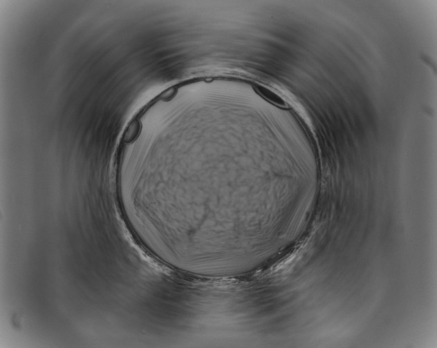 X0000097831053200804041417